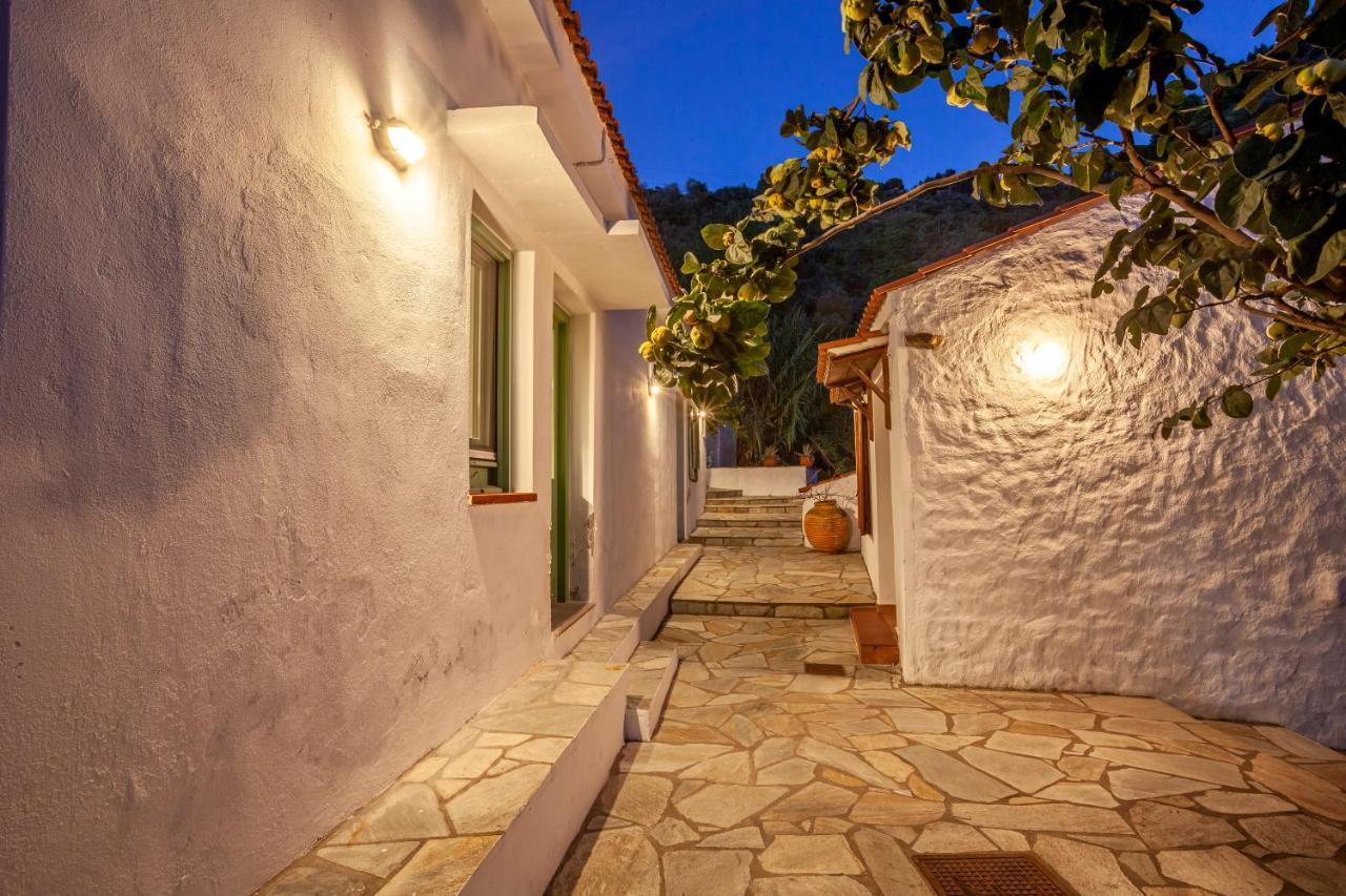 Olea Skopelos Villas With Swimming Pools & Sea View Panormos  Экстерьер фото