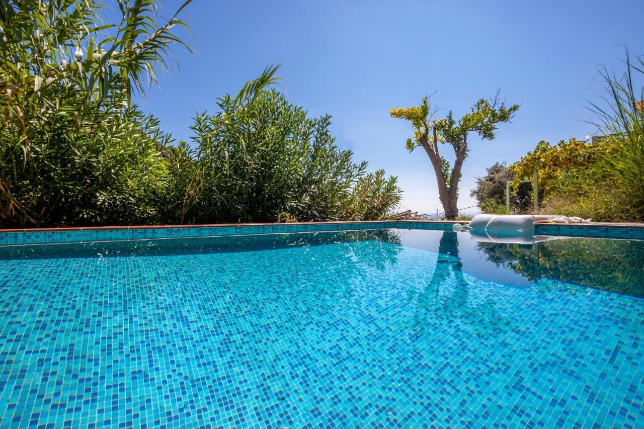 Olea Skopelos Villas With Swimming Pools & Sea View Panormos  Экстерьер фото
