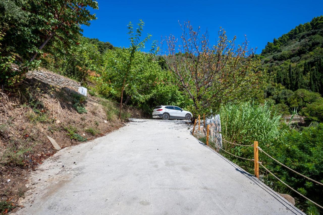 Olea Skopelos Villas With Swimming Pools & Sea View Panormos  Экстерьер фото