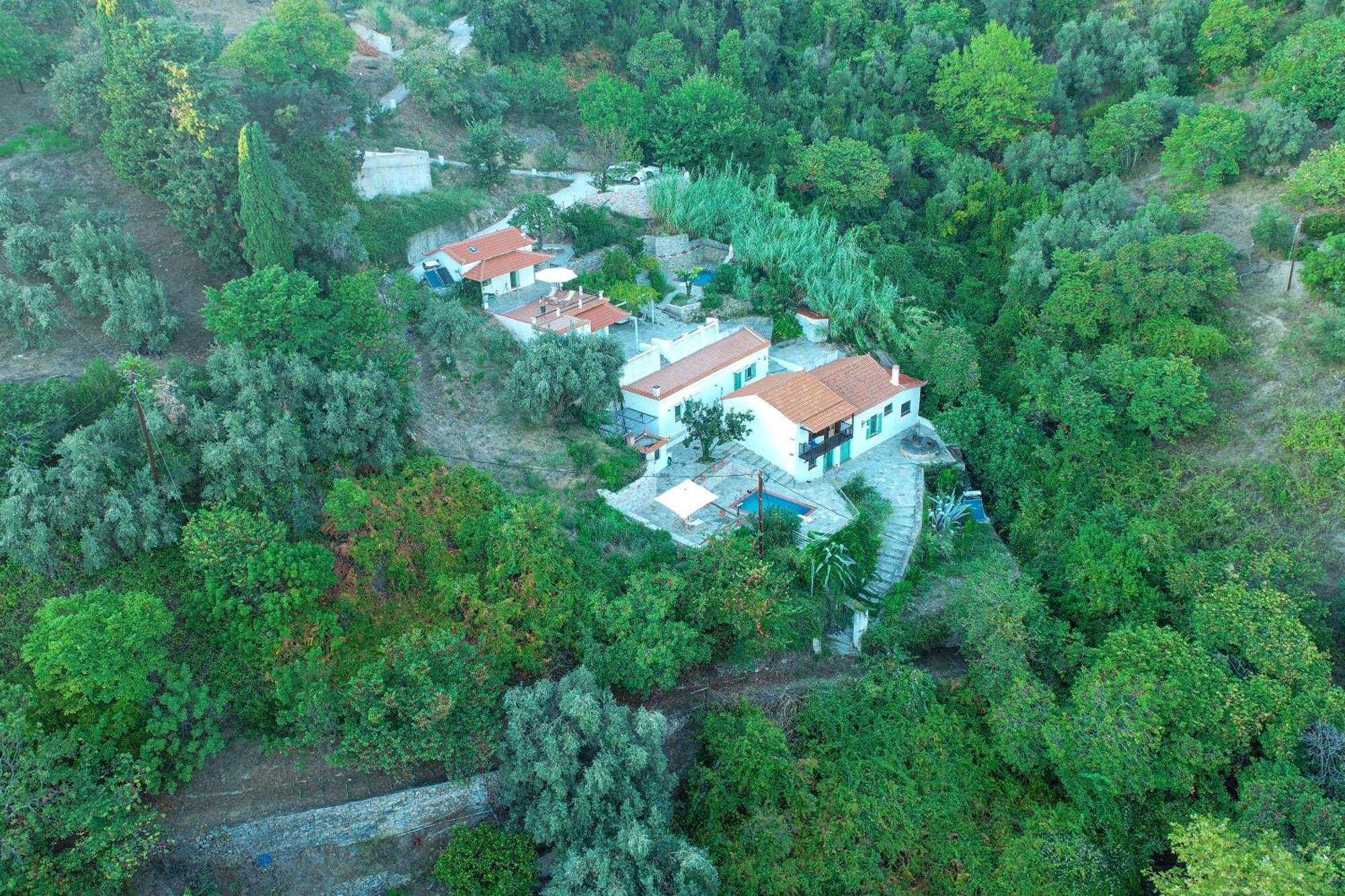 Olea Skopelos Villas With Swimming Pools & Sea View Panormos  Экстерьер фото